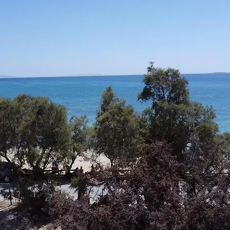Sun & Sea Suites-apartments Agia Anna Naxos * Agia Anna (Naxos)