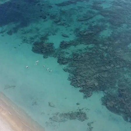 Sun & Sea Suites-apartments Agia Anna Naxos מלון דירות Agia Anna (Naxos)