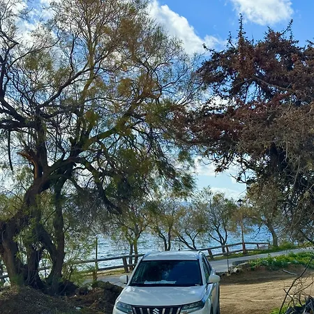 Sun & Sea Suites-apartments Agia Anna Naxos מלון דירות Agia Anna (Naxos)