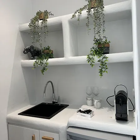 מלון דירות Sun & Sea Suites-apartments Agia Anna Naxos 3*