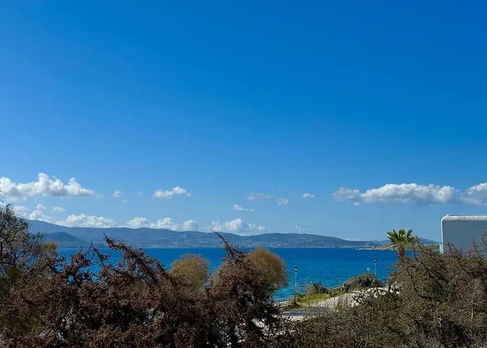 Sun & Sea Suites-apartments Agia Anna Naxos 3*